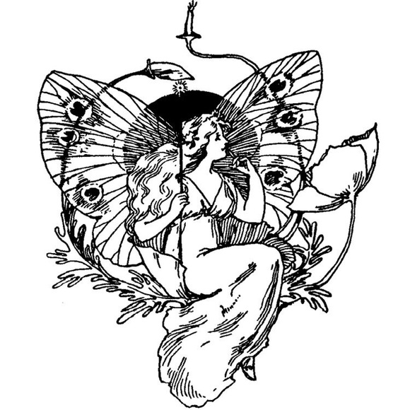 Meet your Posher, Hadley - Picture 1 of 1